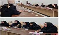جلسه شورای مرکز تحقیقات SDH